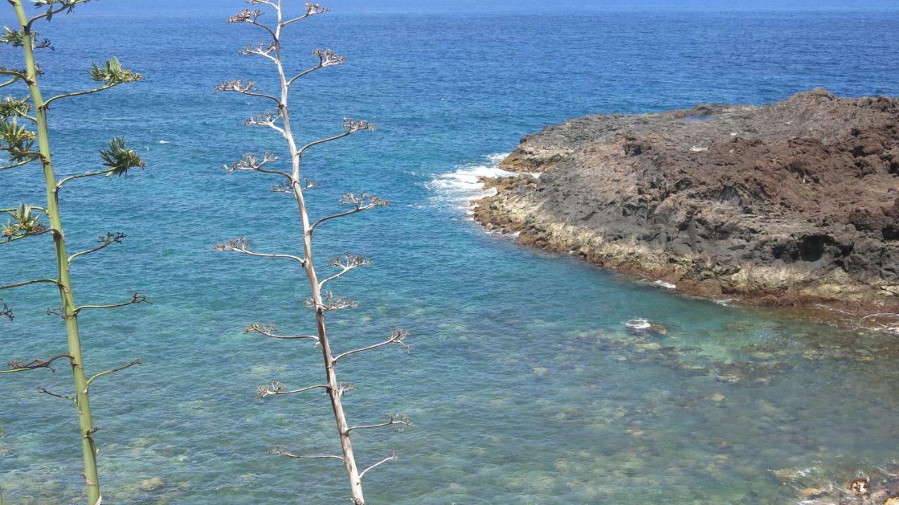 El Roque 205 - Sustainability Off The Beaten Track Tacoronte Buitenkant foto